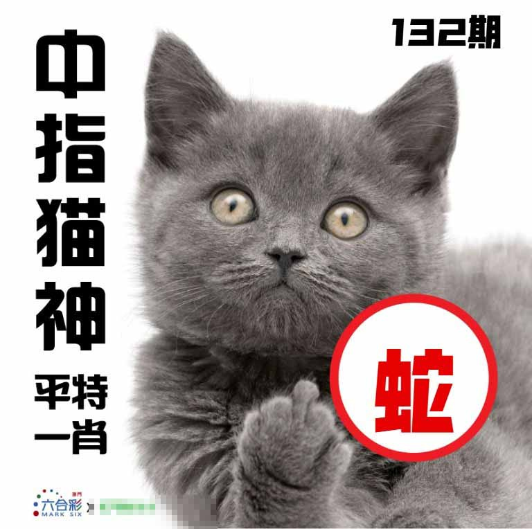 132期中指猫神[图]