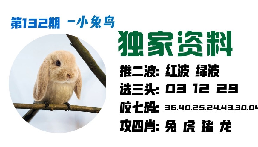 132期小兔鸟[图]